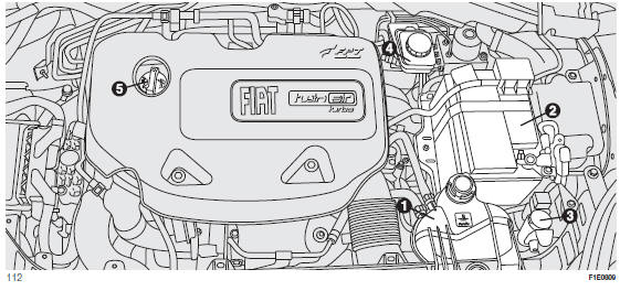 Fiat Punto. KONTROLLE DER FÜLLSTÄNDE