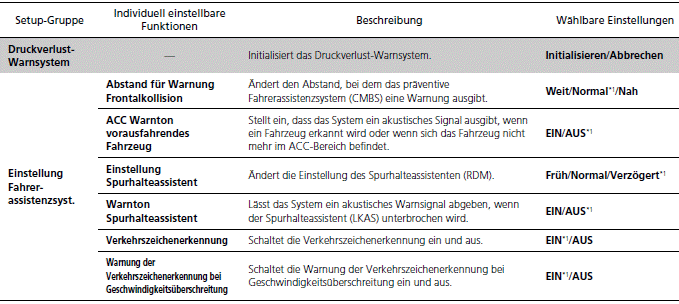 Fahrer-Informationsdisplay